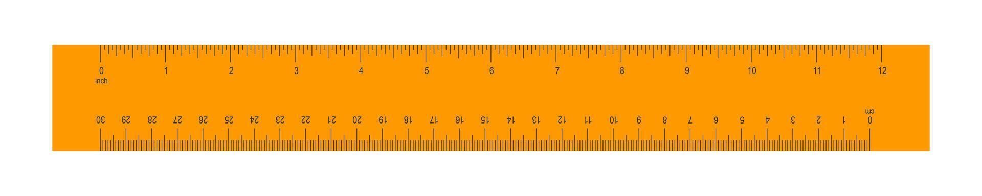 Wooden or plastic orange ruler with 12 inch and 30 centimeter scale. Distance, height or length measurement math tool. Horizontal measuring chart with markup and numbers vector