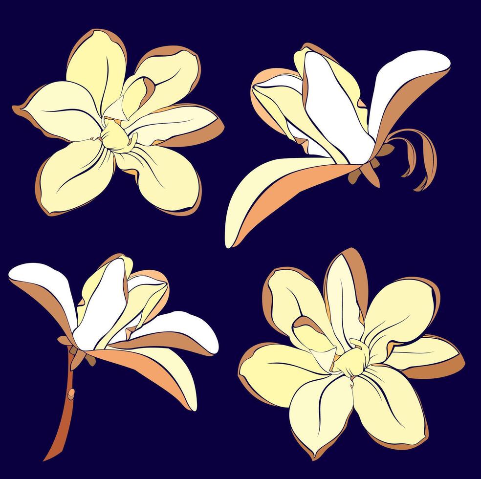 magnolia flor floreciente Arte. mano dibujado realista detallado ilustración. vector