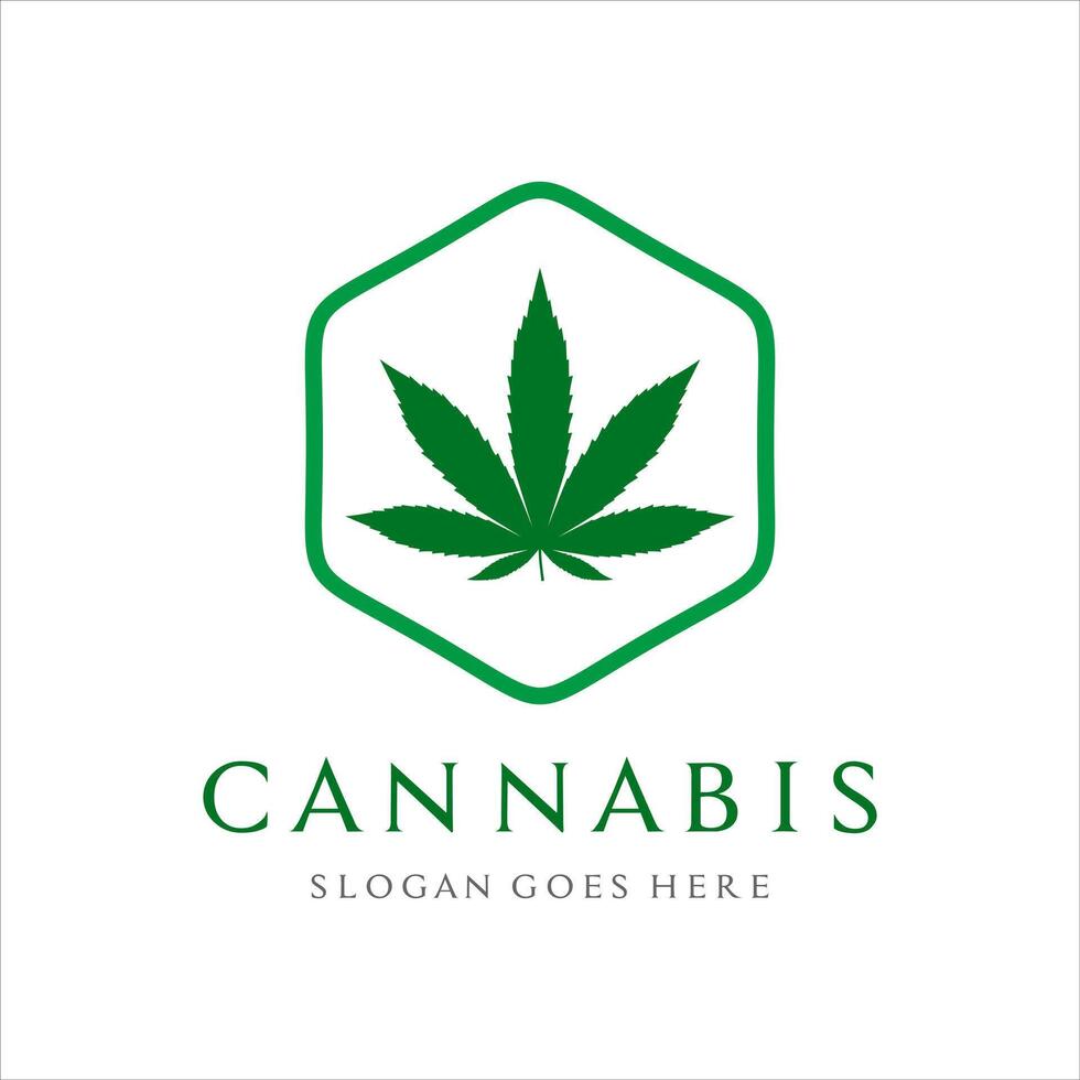 Cannabis leaf with hexagon shape logo design template vector