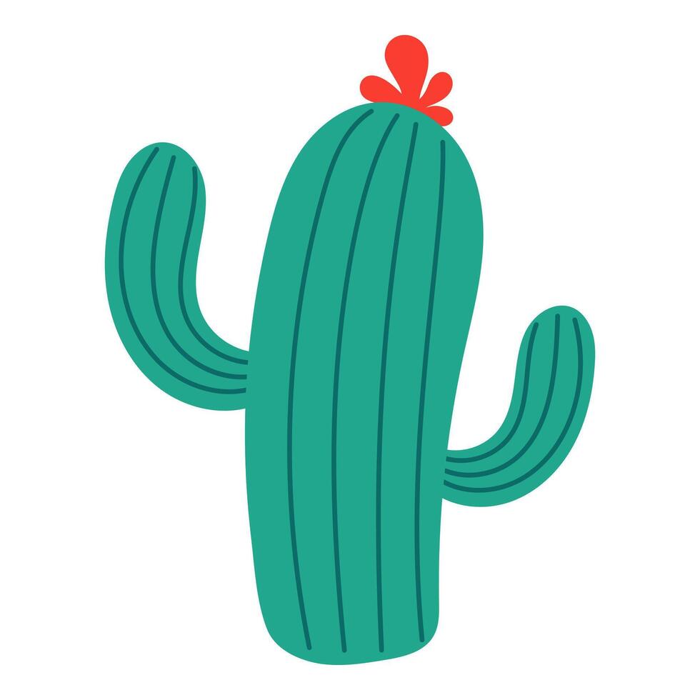 Cactus isolated on white illustration vector