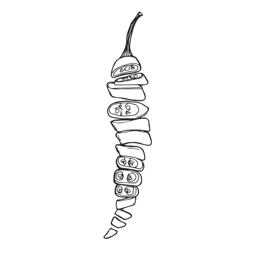 Doodle ink chili chopped pepper. Chili pepper pieces sketch vector