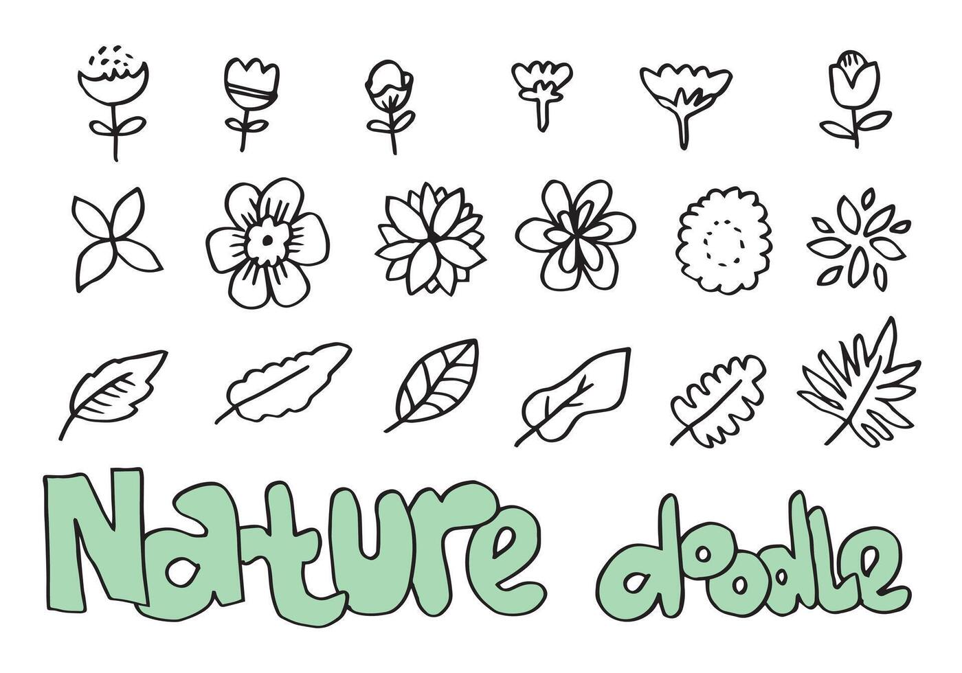un colección de dibujado a mano flor imágenes tal como campana flor, crisantemos, girasoles, algodón flores, y tropical hojas vector
