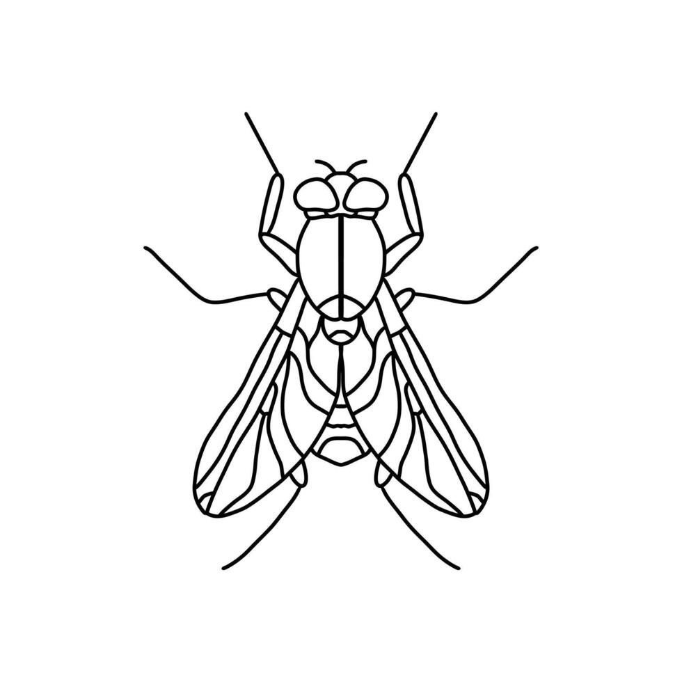 fly insect outline icon.fly line art illustration. Doodle line graphic design. Black and white drawing insect. vector