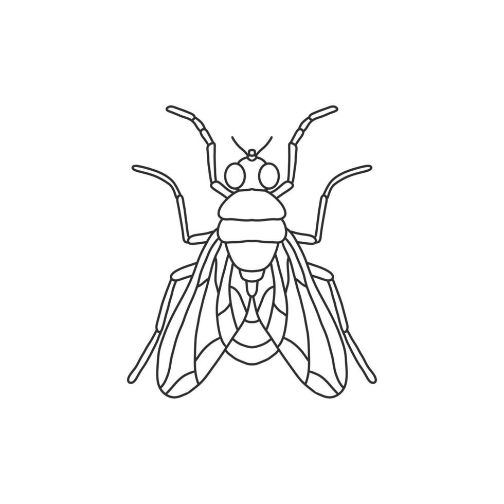 fly insect outline icon.fly line art illustration. Doodle line graphic design. Black and white drawing insect. vector