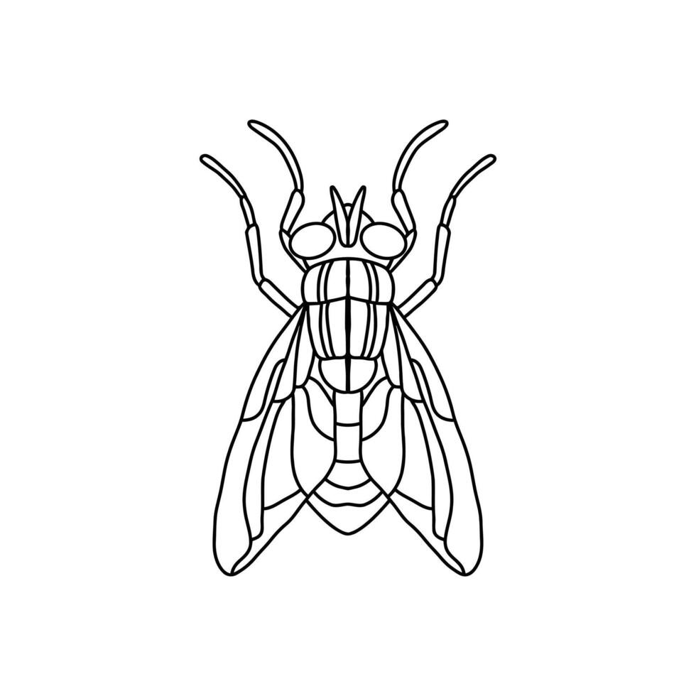 fly insect outline icon.fly line art illustration. Doodle line graphic design. Black and white drawing insect. vector