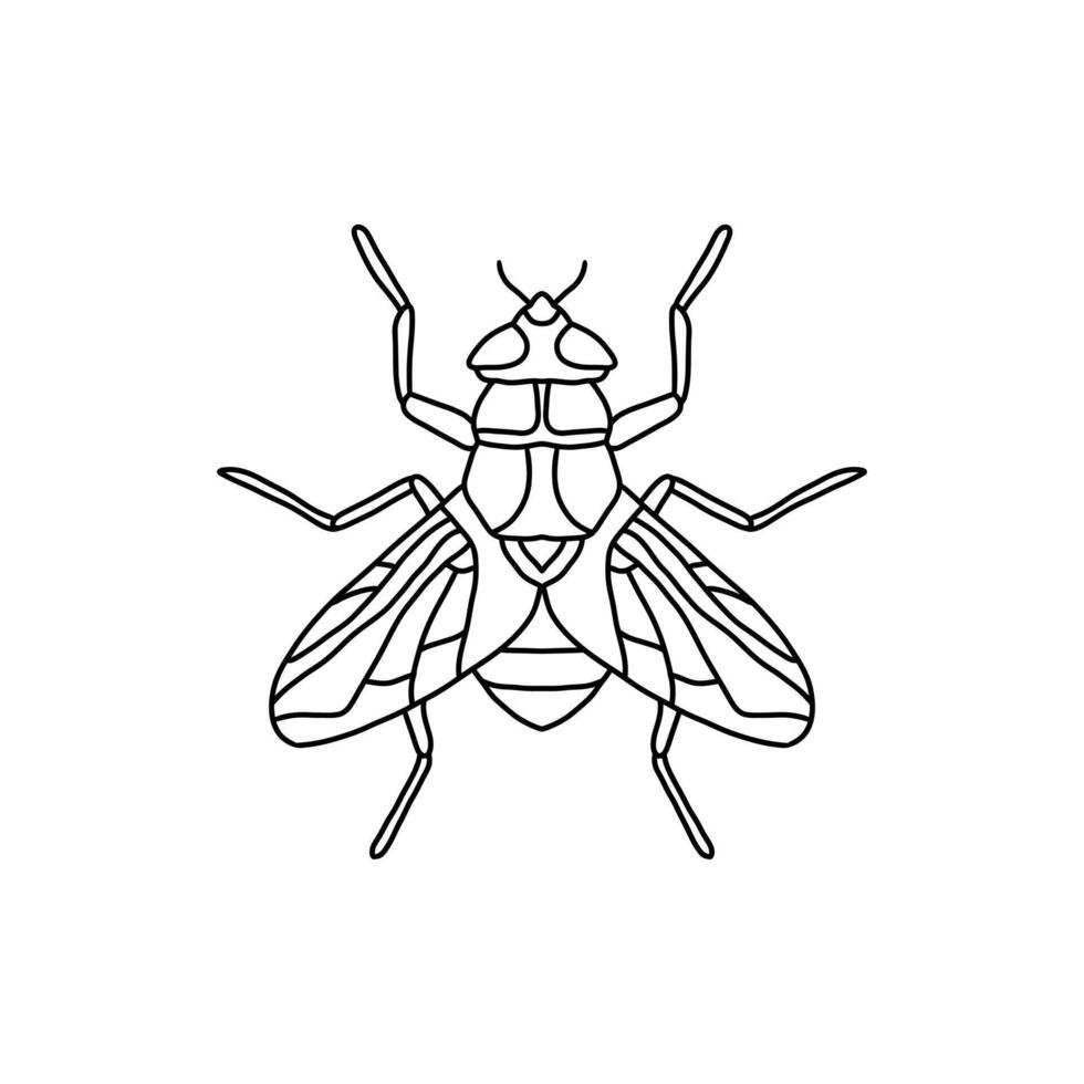 fly insect outline icon.fly line art illustration. Doodle line graphic design. Black and white drawing insect. vector