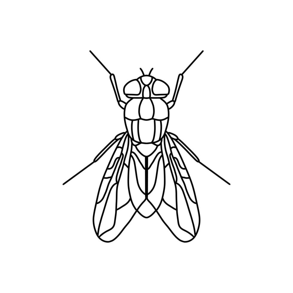 fly insect outline icon.fly line art illustration. Doodle line graphic design. Black and white drawing insect. vector