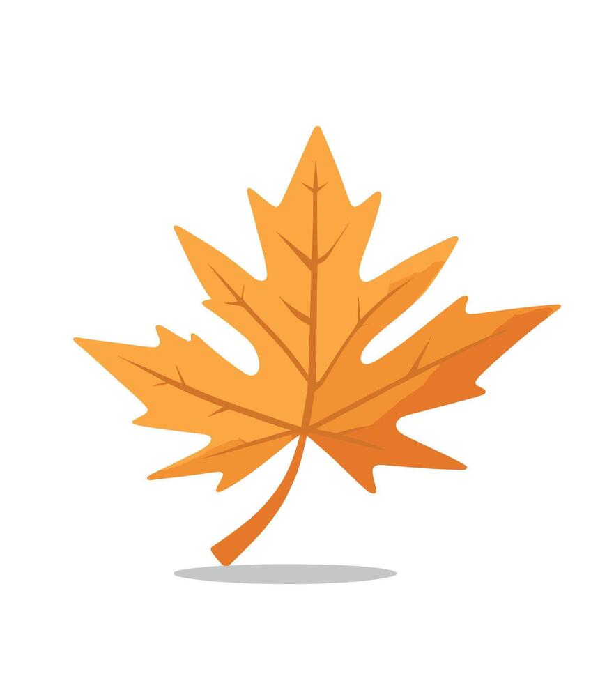 maple leaf silhouettes on the white background vector