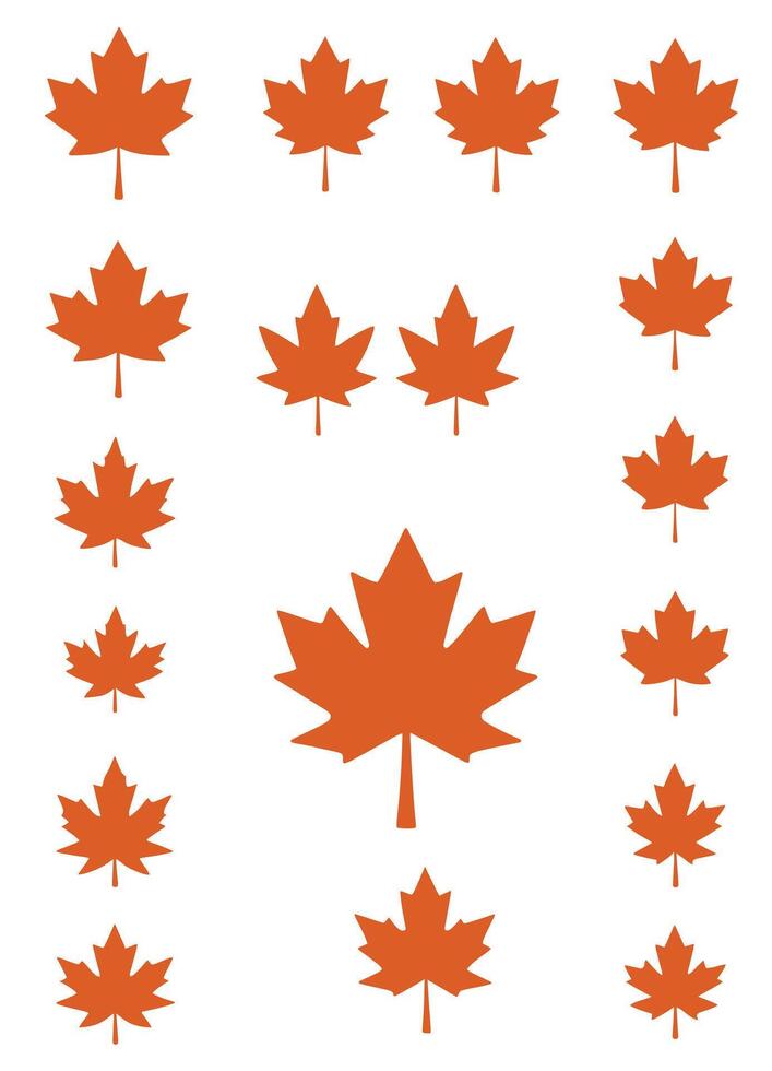 maple leaf silhouettes on the white background vector