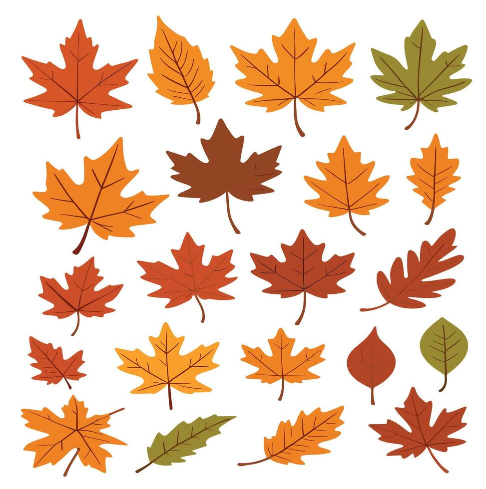 maple leaf silhouettes on the white background vector