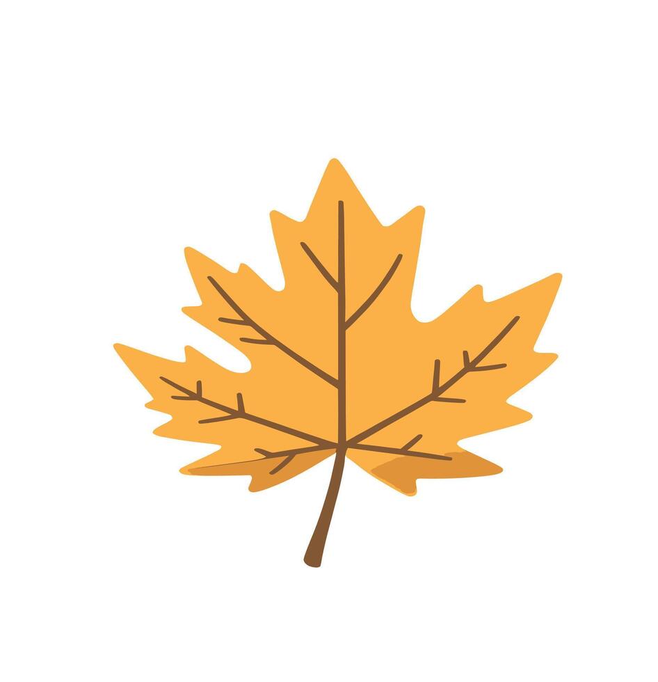 maple leaf silhouettes on the white background vector
