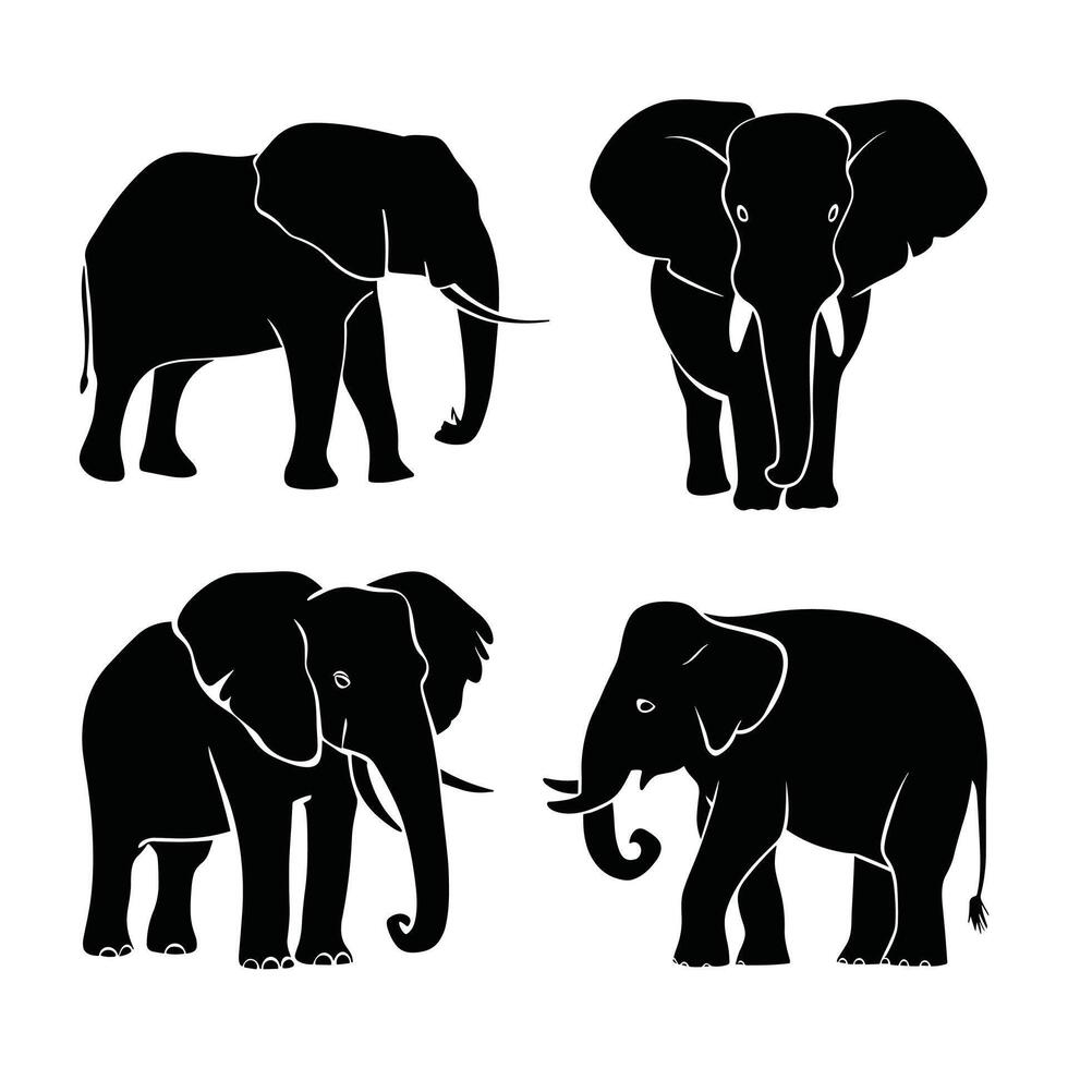 Elephant walking illustration, animals, Elephant at the zoo vector