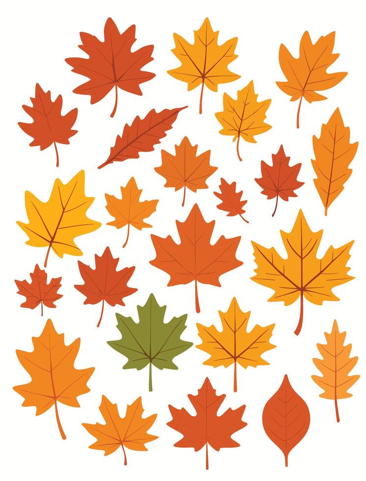 maple leaf silhouettes on the white background vector