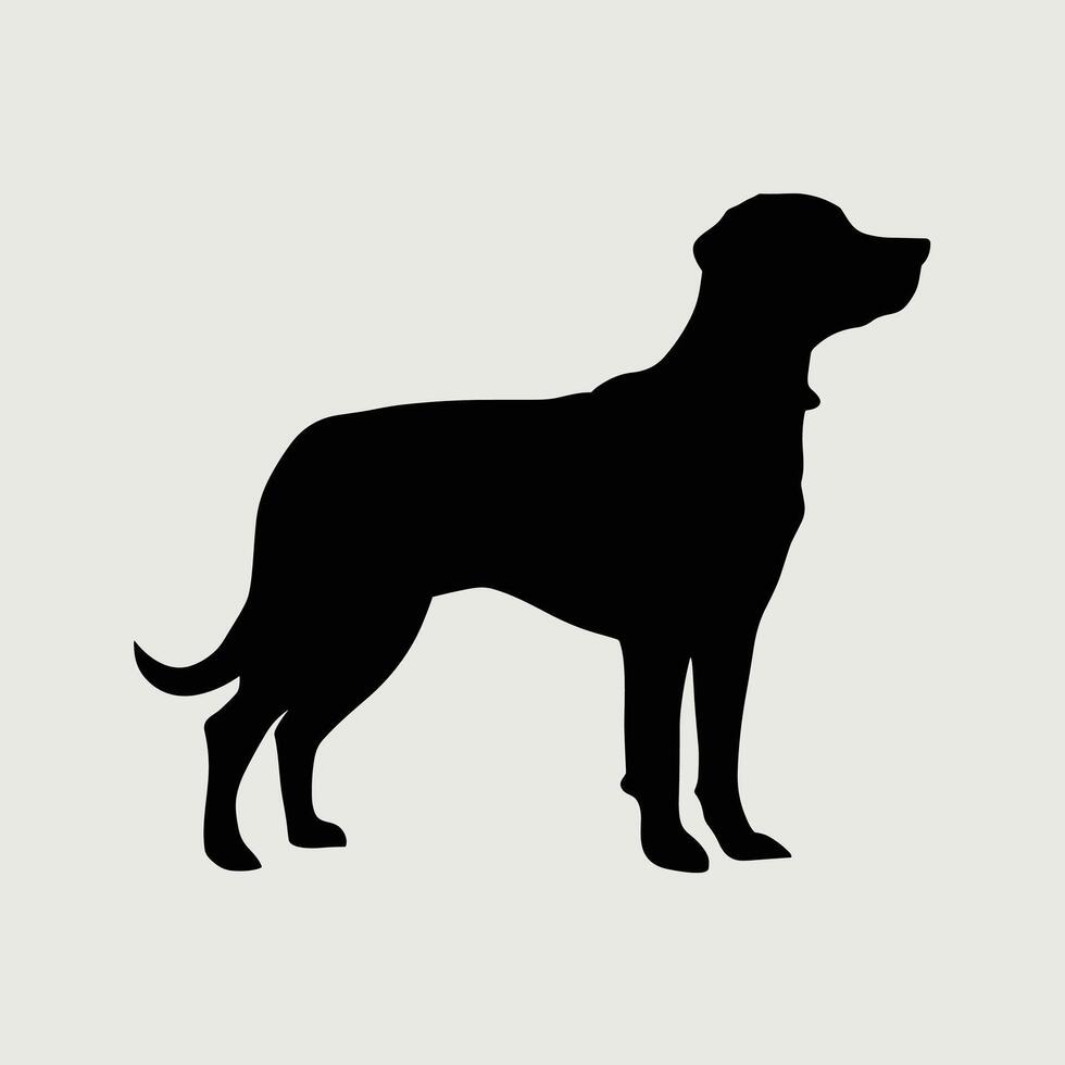 Dog Breed in Different Poses vector