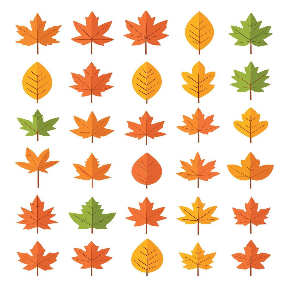 maple leaf silhouettes on the white background vector