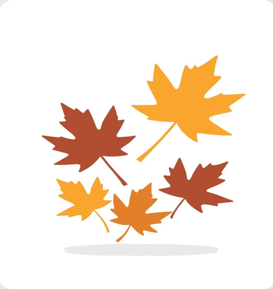 maple leaf silhouettes on the white background vector