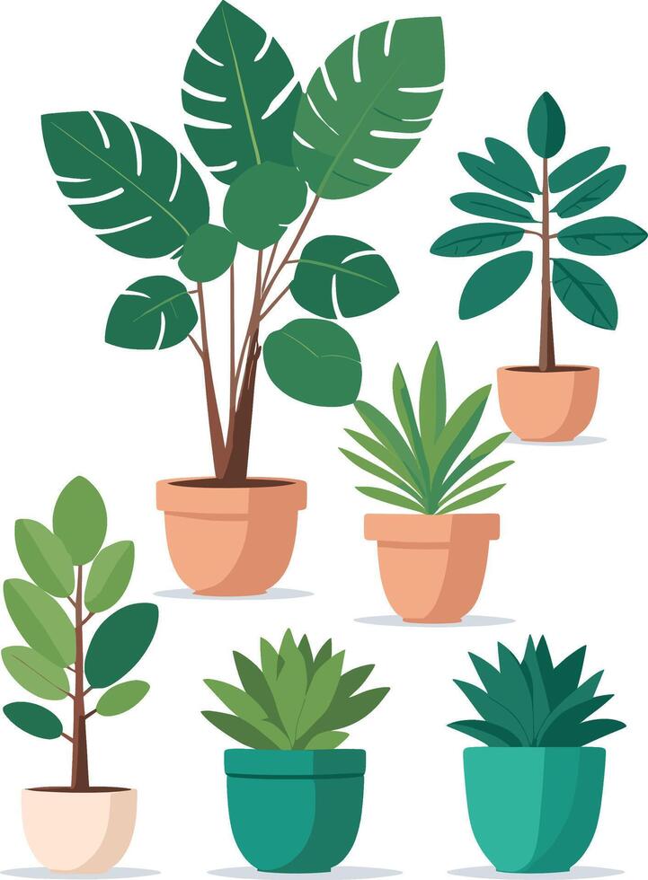 House plants home decor illustration set. Cartoon potted green plants flowers collection, houseplants in clay pot, hanging decorative vector