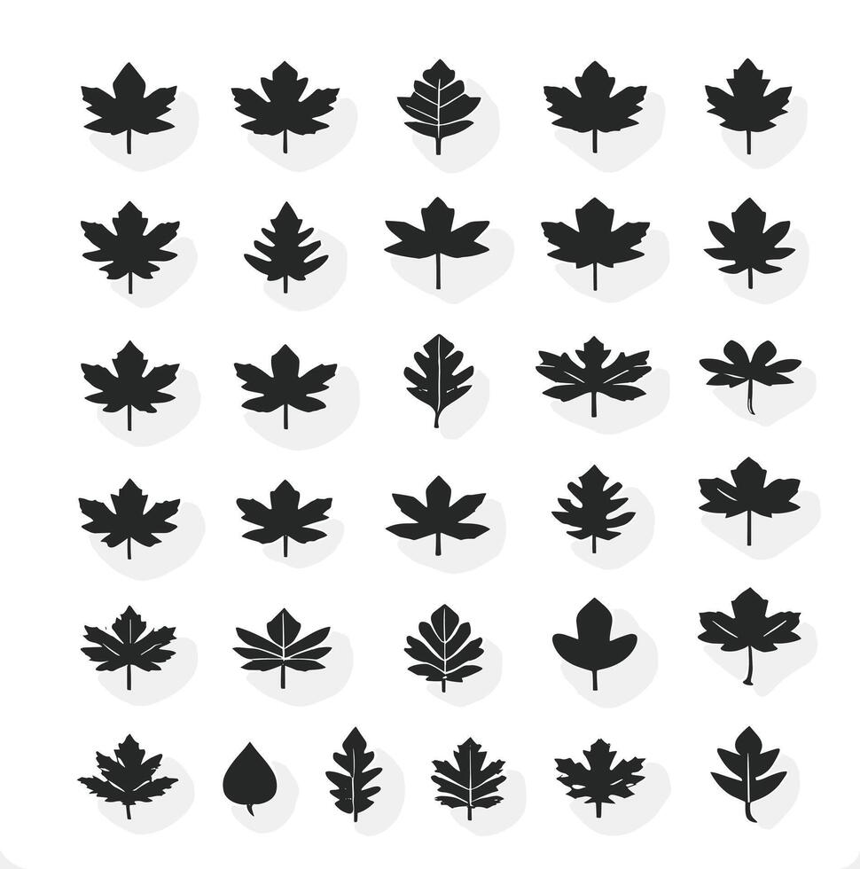 oak leaf silhouettes on the white background vector