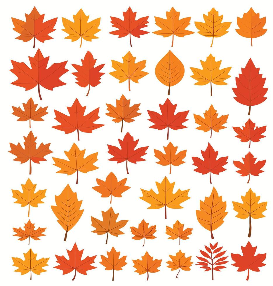 maple leaf silhouettes on the white background vector