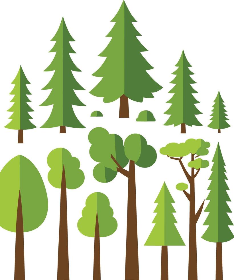 Simple pine flat tree illustration on white background vector