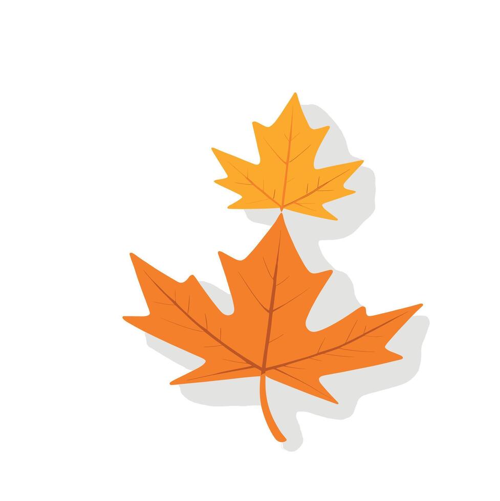 maple leaf silhouettes on the white background vector