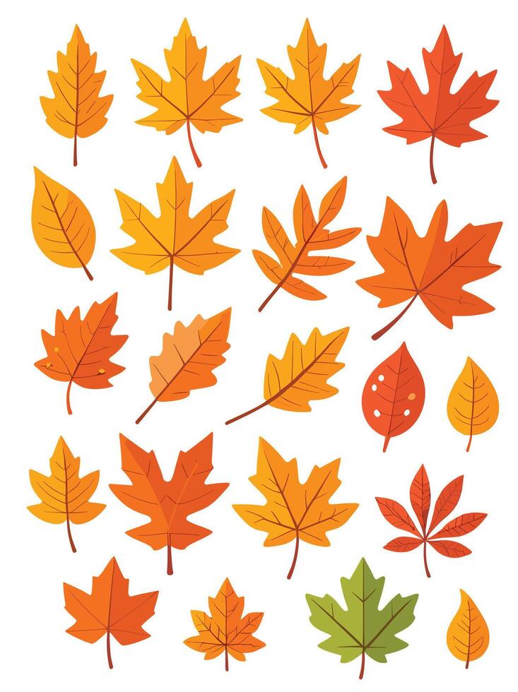 maple leaf silhouettes on the white background vector