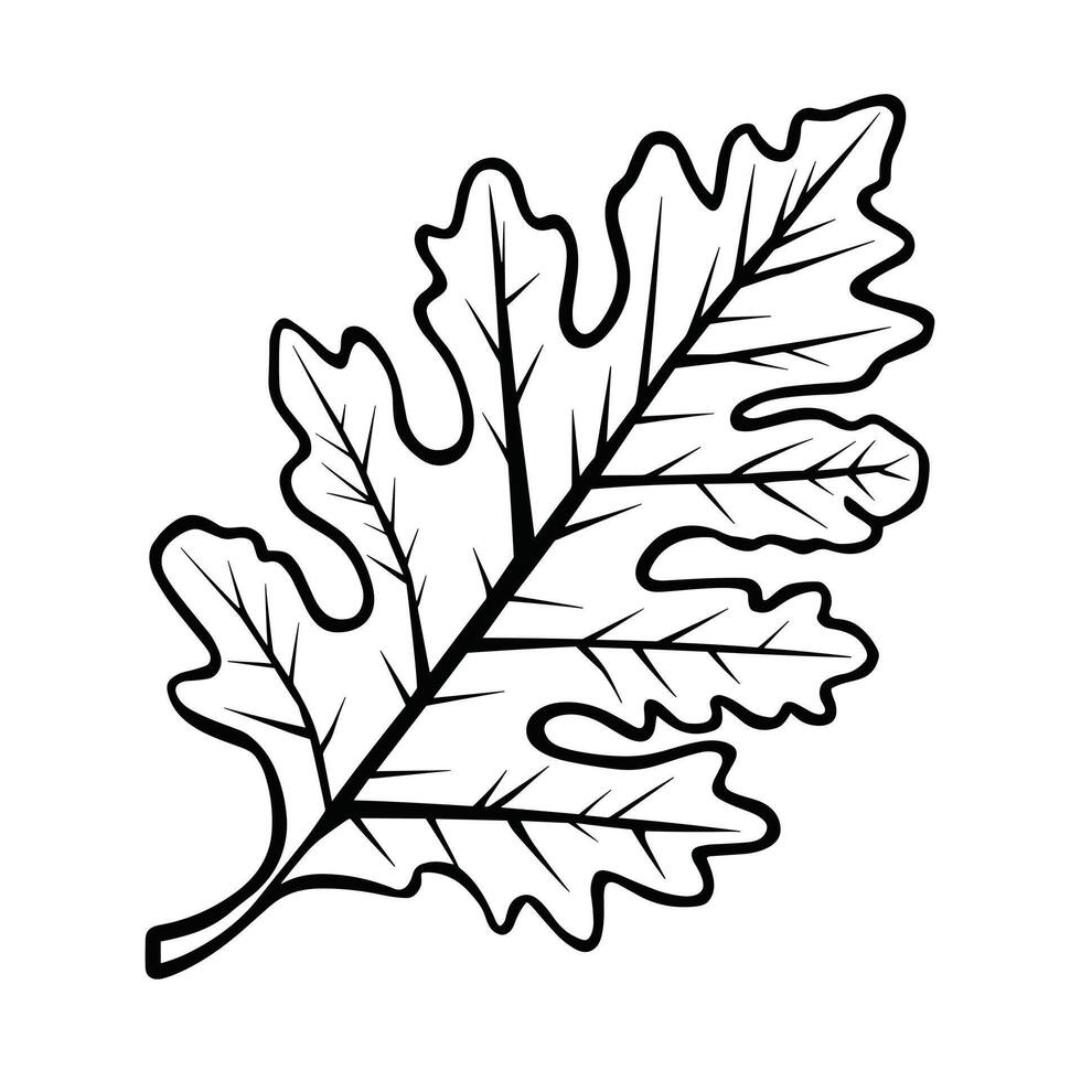 oak leaf silhouettes on the white background vector