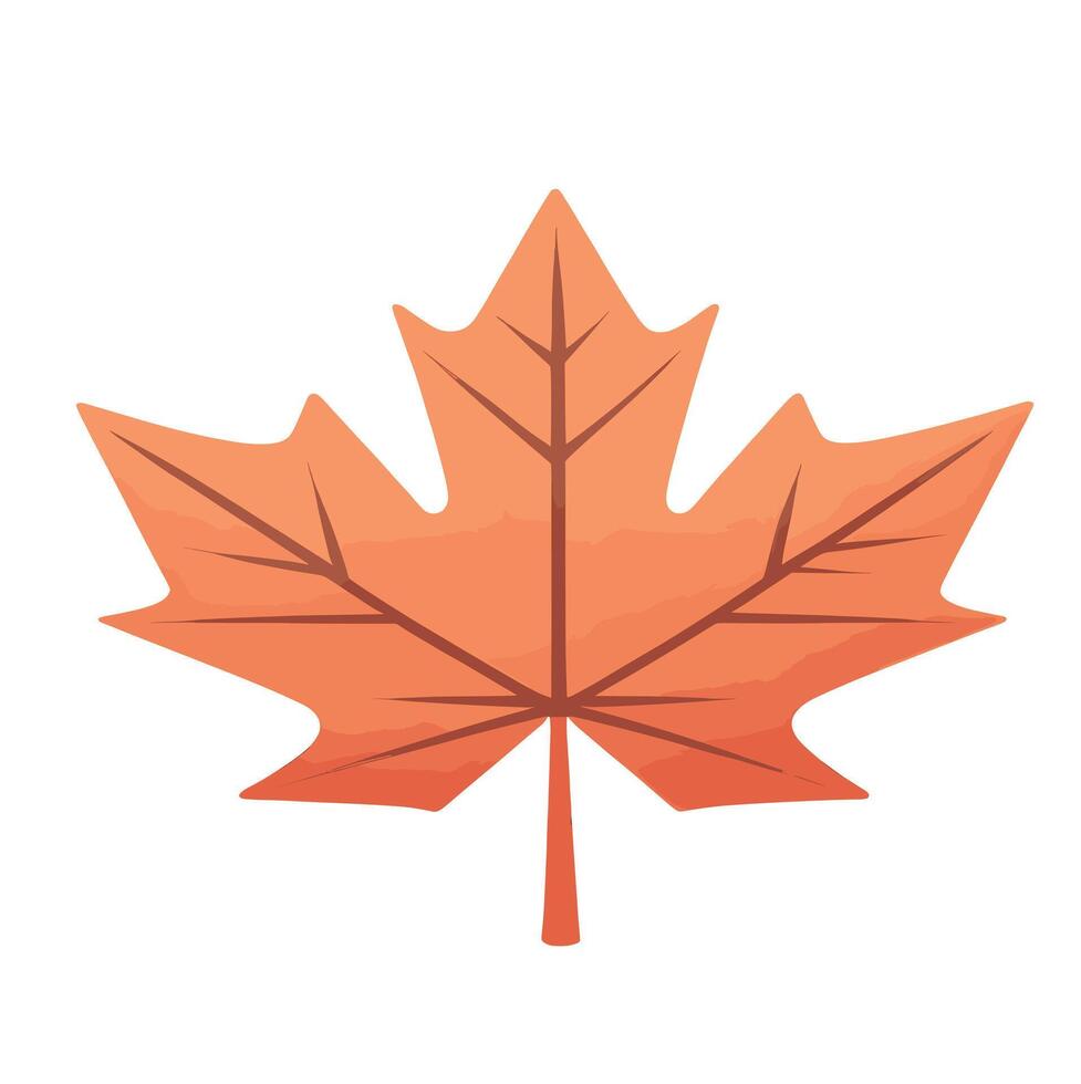 maple leaf silhouettes on the white background vector