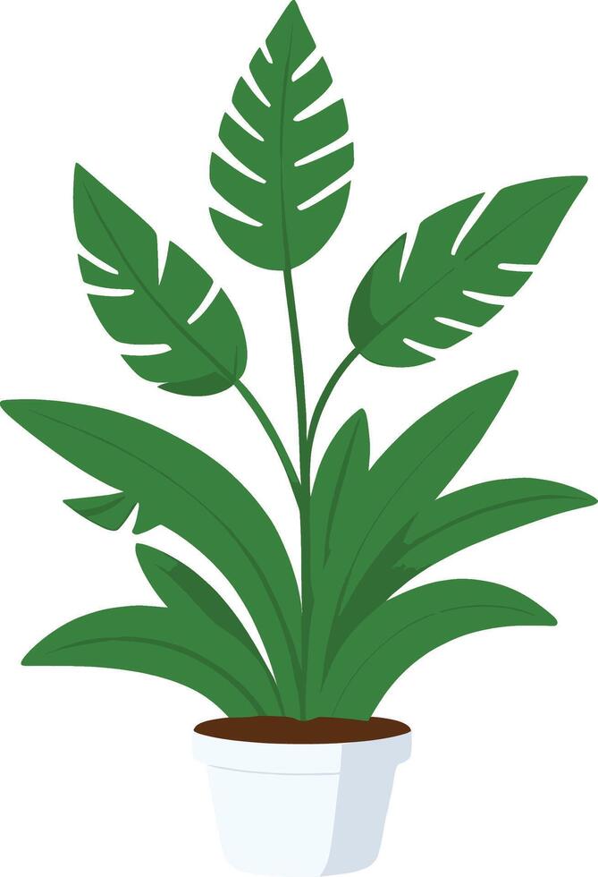 casa plantas hogar decoración ilustración colocar. dibujos animados en conserva verde plantas flores recopilación, plantas de interior en arcilla maceta, colgando decorativo vector