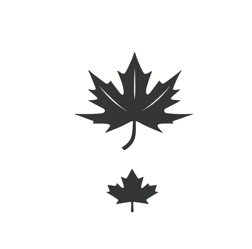 maple leaf silhouettes on the white background vector