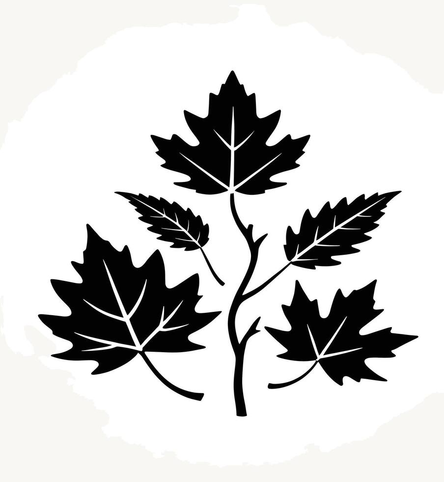 maple leaf silhouettes on the white background vector