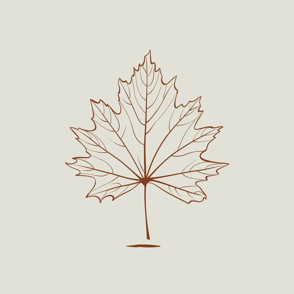 Ash tree leaf. linear illustration. Outline, silhouette, line art drawing isolated on white background vector