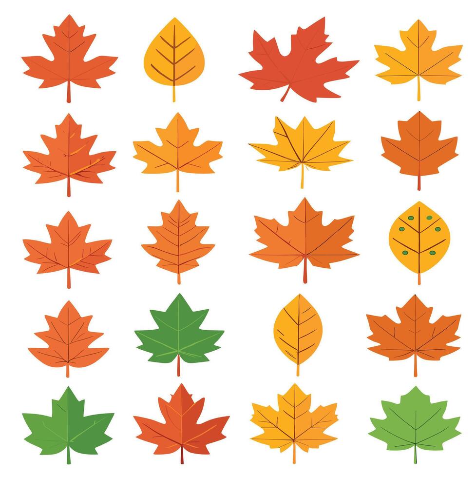 maple leaf silhouettes on the white background vector