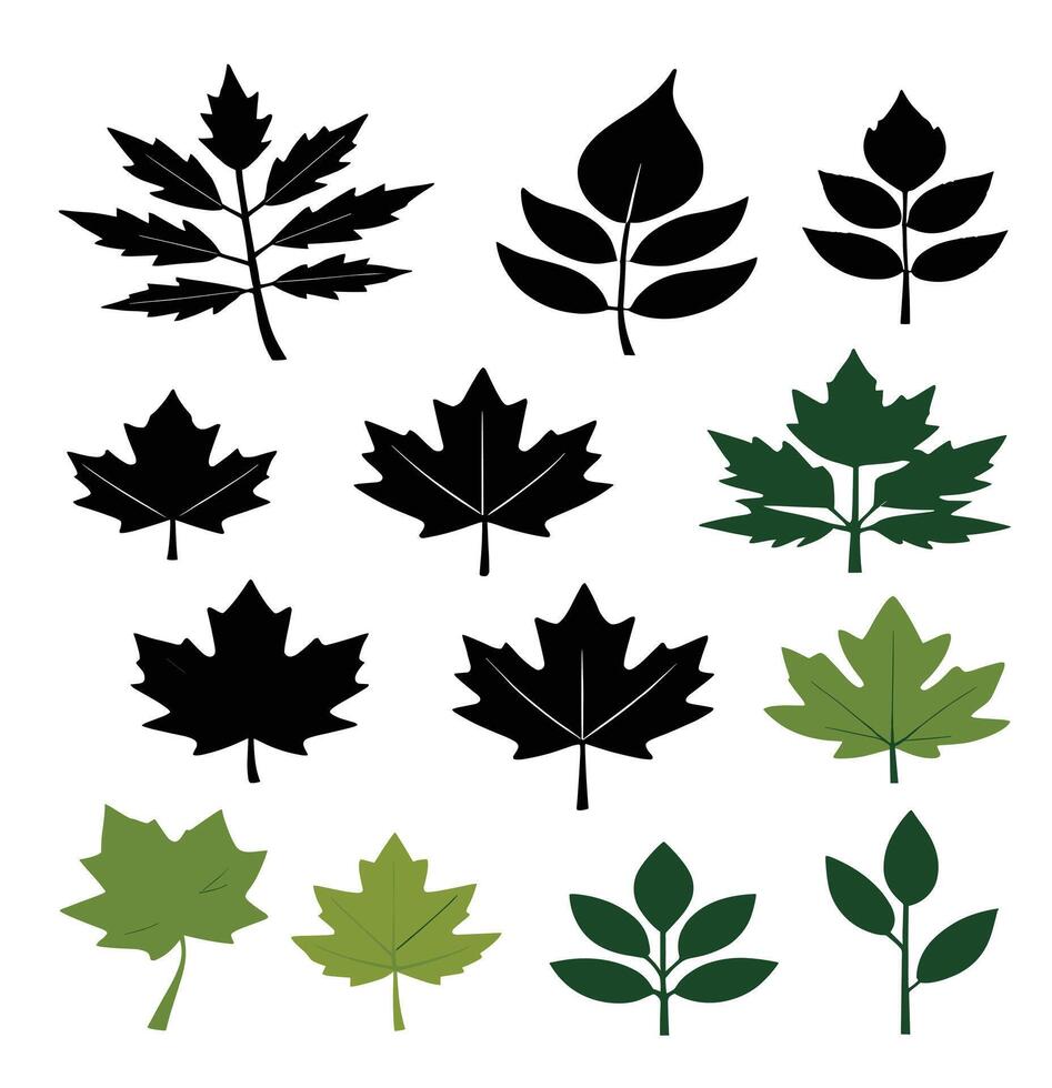 maple leaf silhouettes on the white background vector