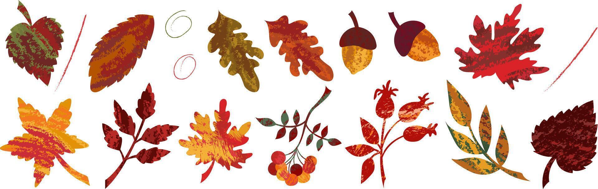 Autumn set of isolated elements of abstract texture leaves of maple, oak and rowan berries. Texture hand-drawn seasonal illustrations for autumn holidays design. vector