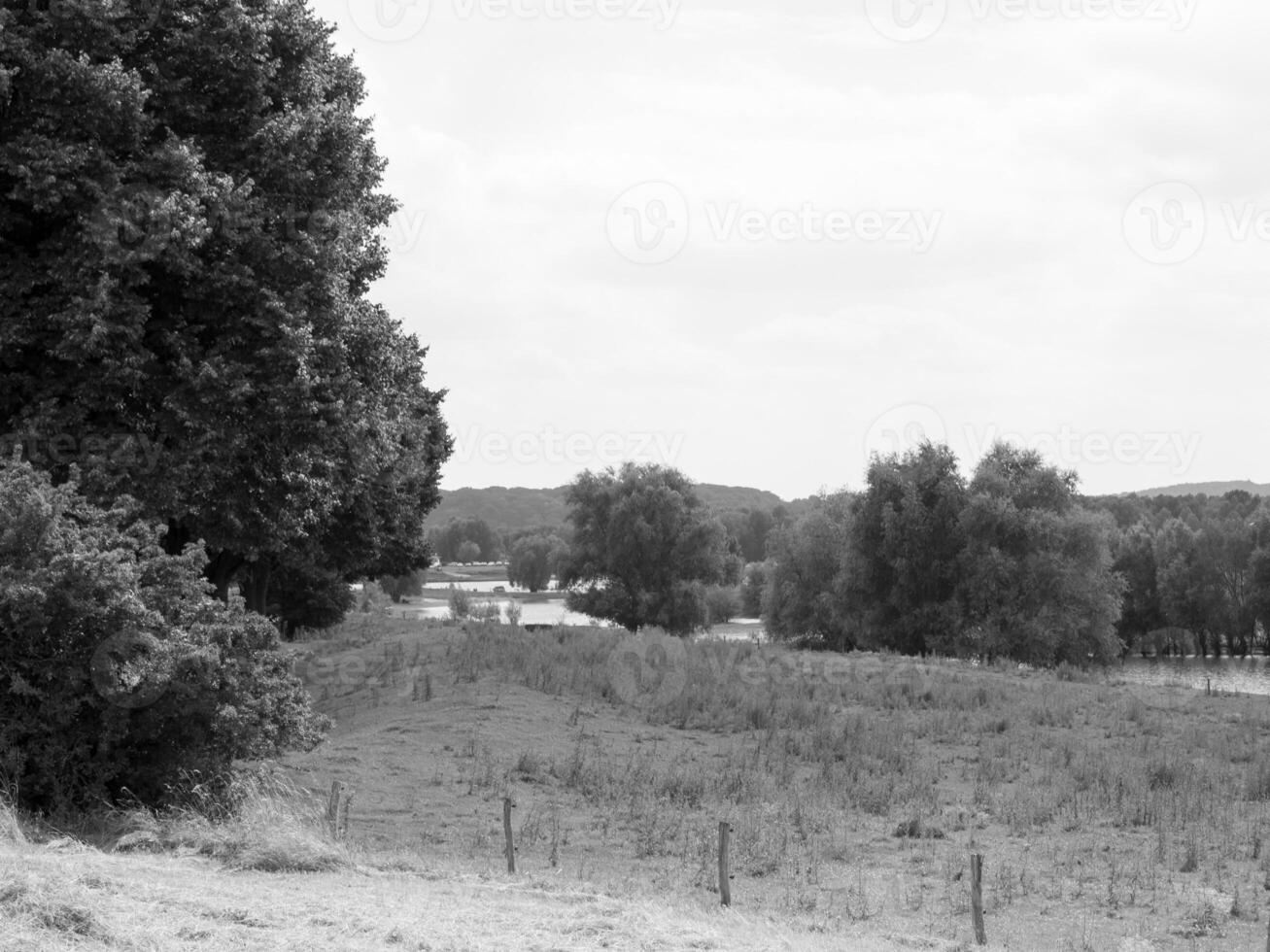 in the german muensterland photo