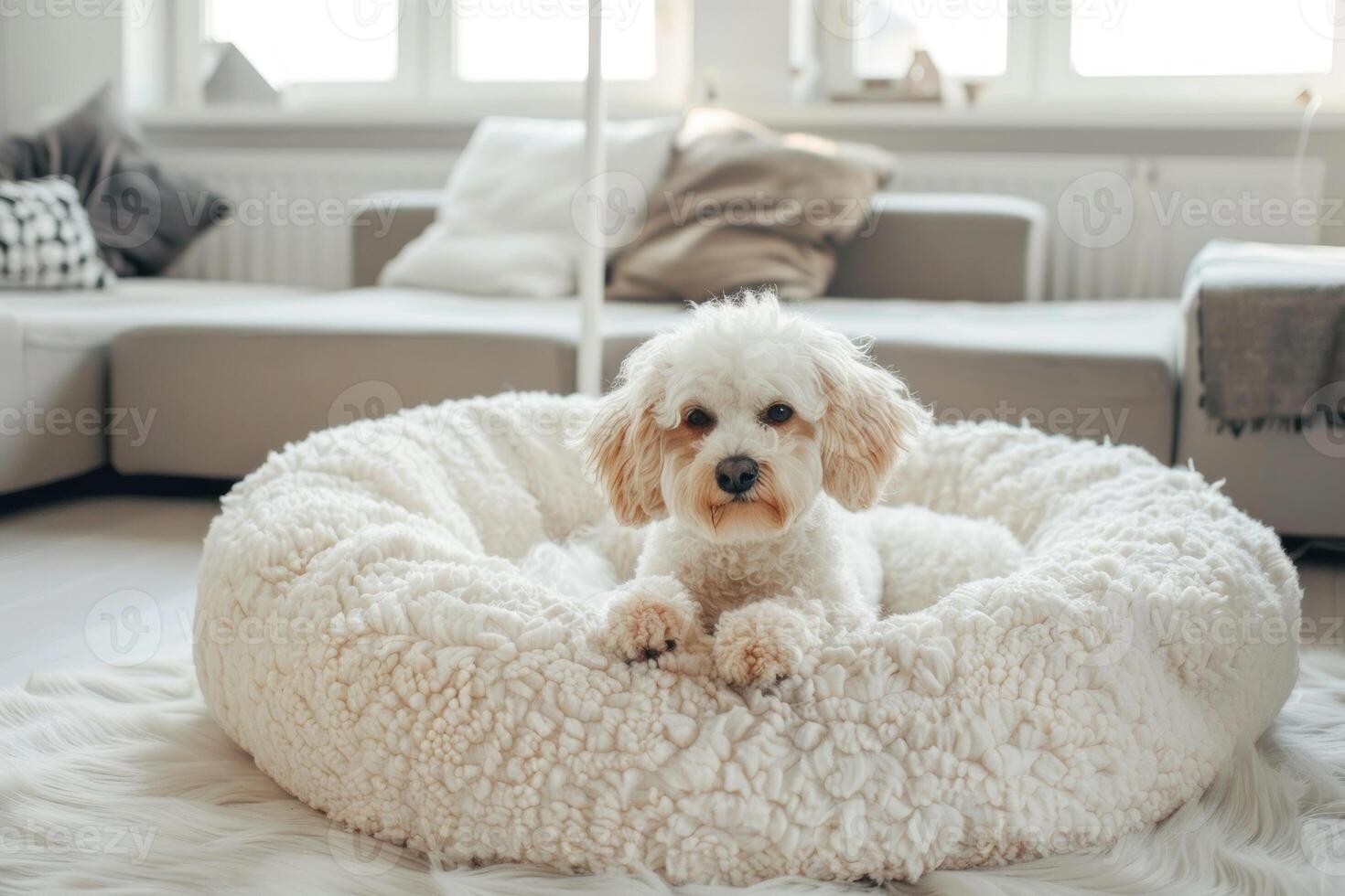 un perro es tendido en un blanco perro cama en un vivo habitación foto