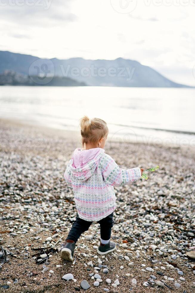 Little girl with a yellow flower in her hand walks along a pebbly beach towards the sea. Back view photo