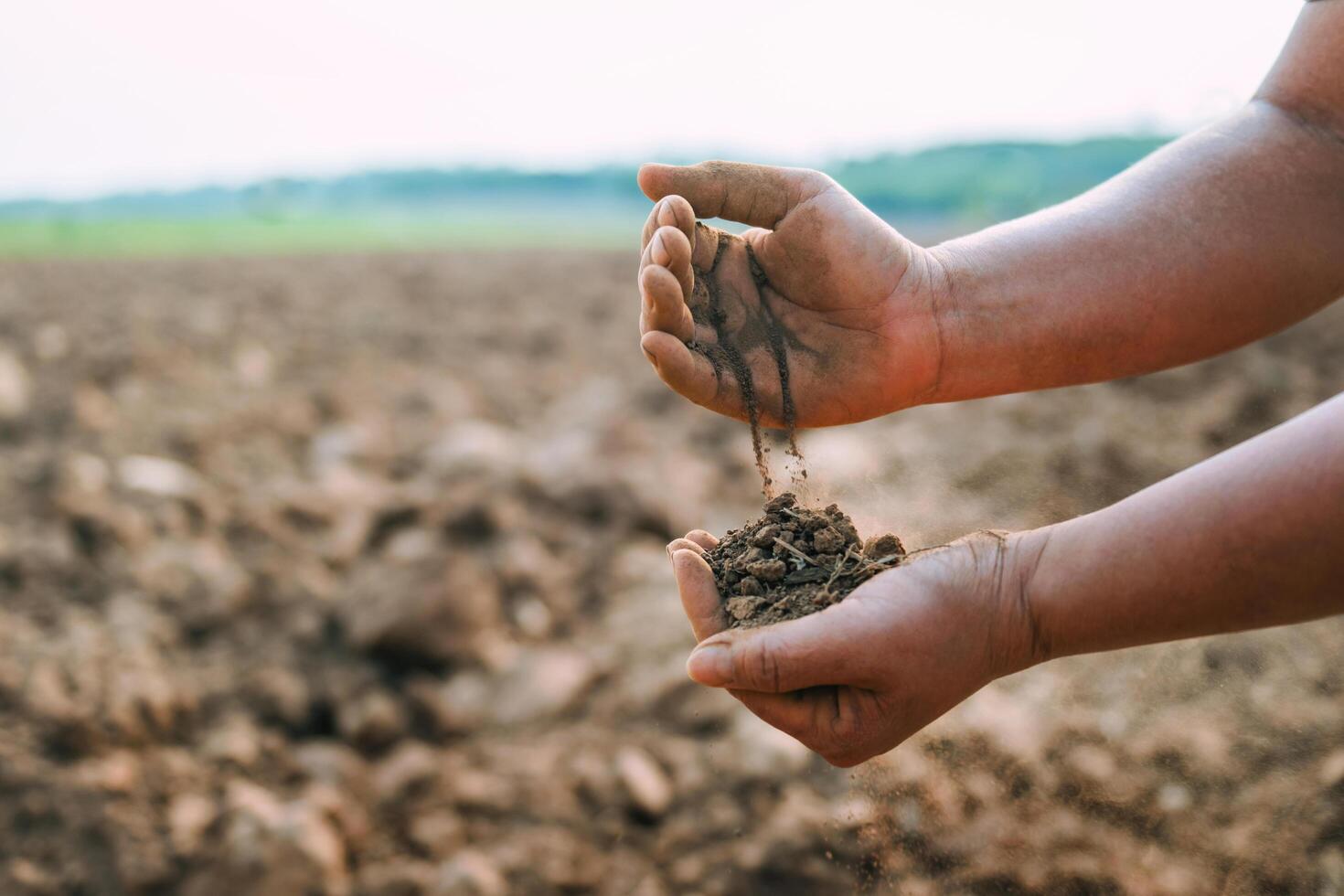 person is holding the soil with two hands to examine the brown soil photo