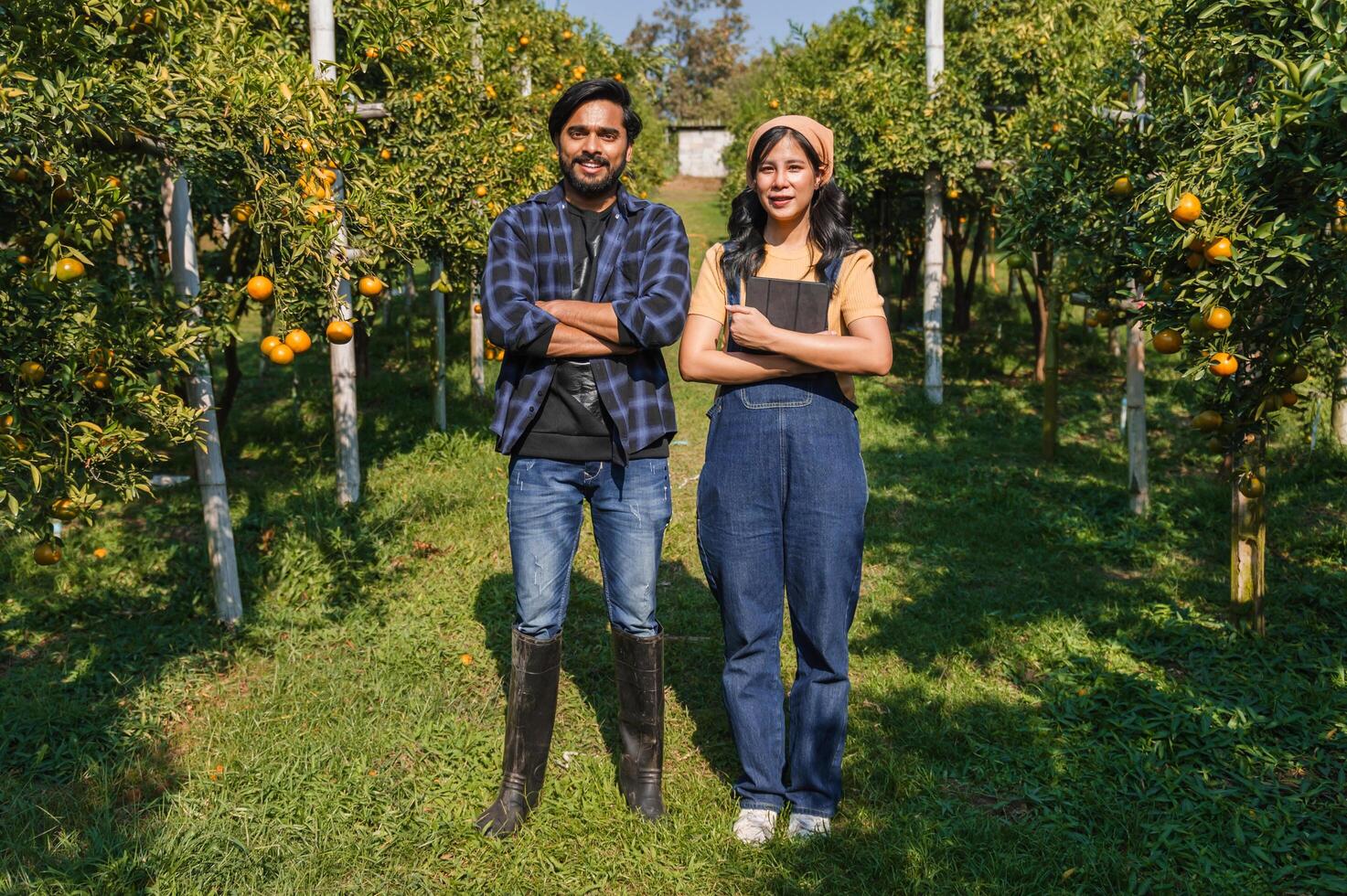 hombre y un mujer estar en un campo de naranjas foto
