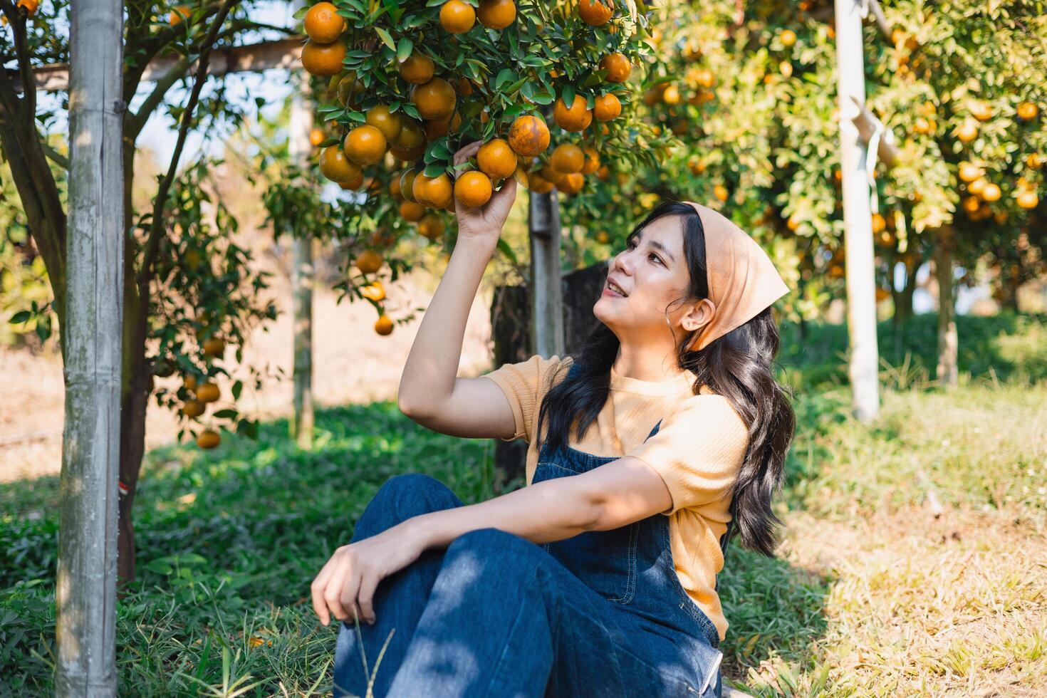 woman is sitting in the grass and picking oranges from a tree photo