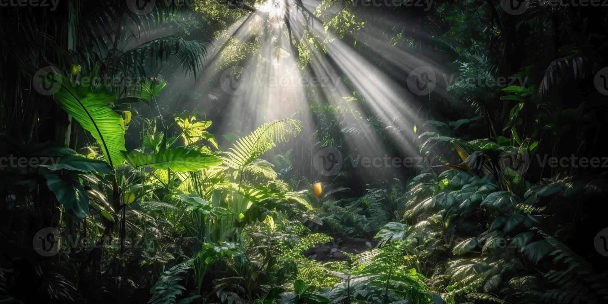 Tropical rain jungle deep forest with beab ray light shining. Nature outdoor adventure vibe scene background view photo