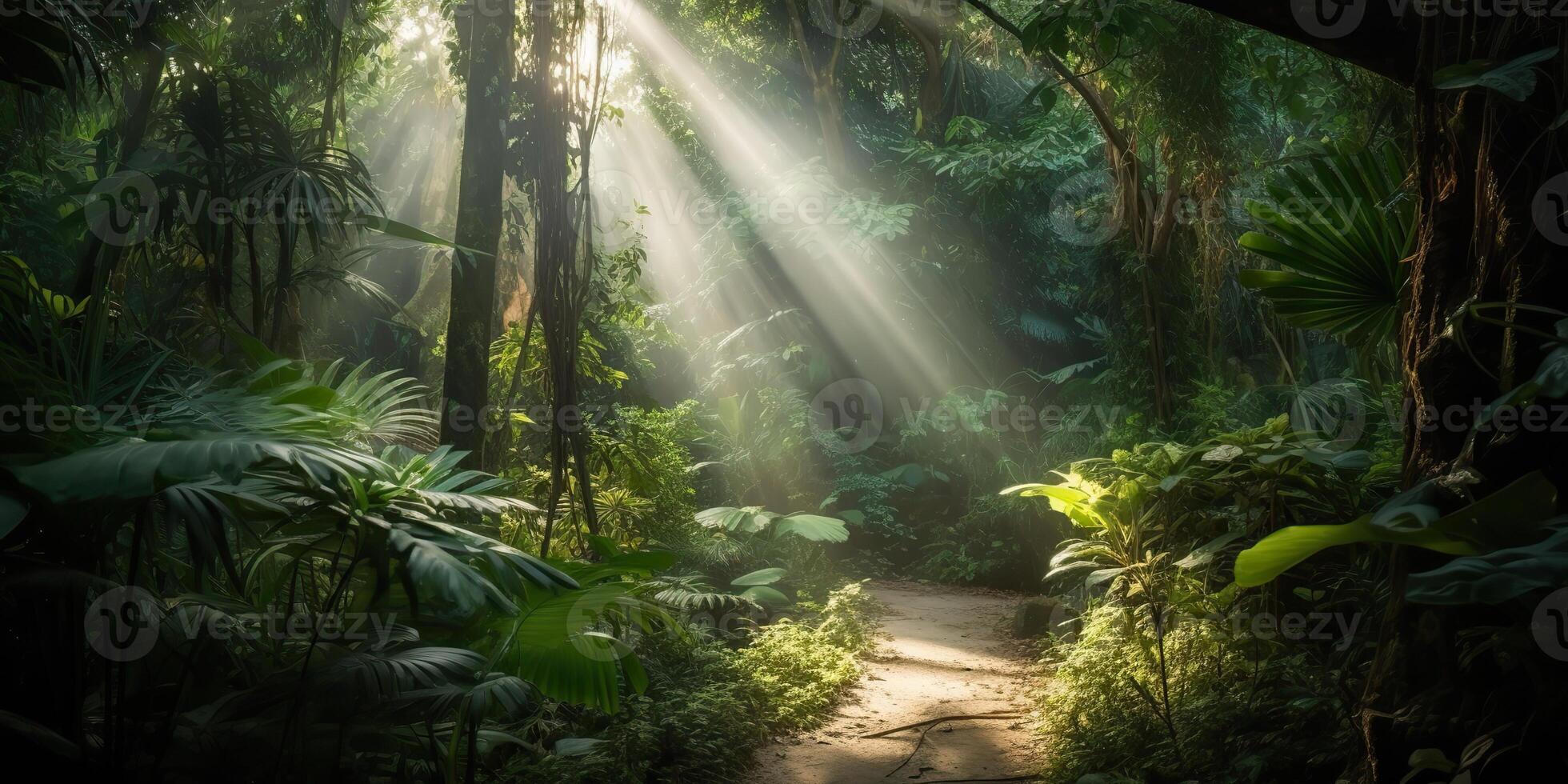 Tropical rain jungle deep forest with beab ray light shining. Nature outdoor adventure vibe scene background view photo