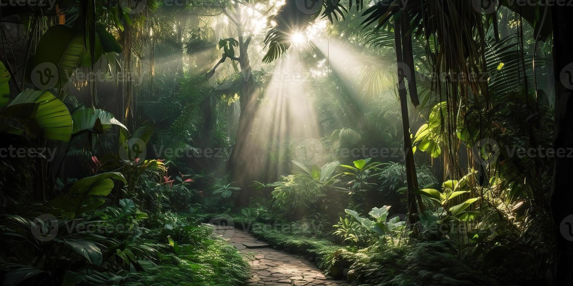 Tropical rain jungle deep forest with beab ray light shining. Nature outdoor adventure vibe scene background view photo