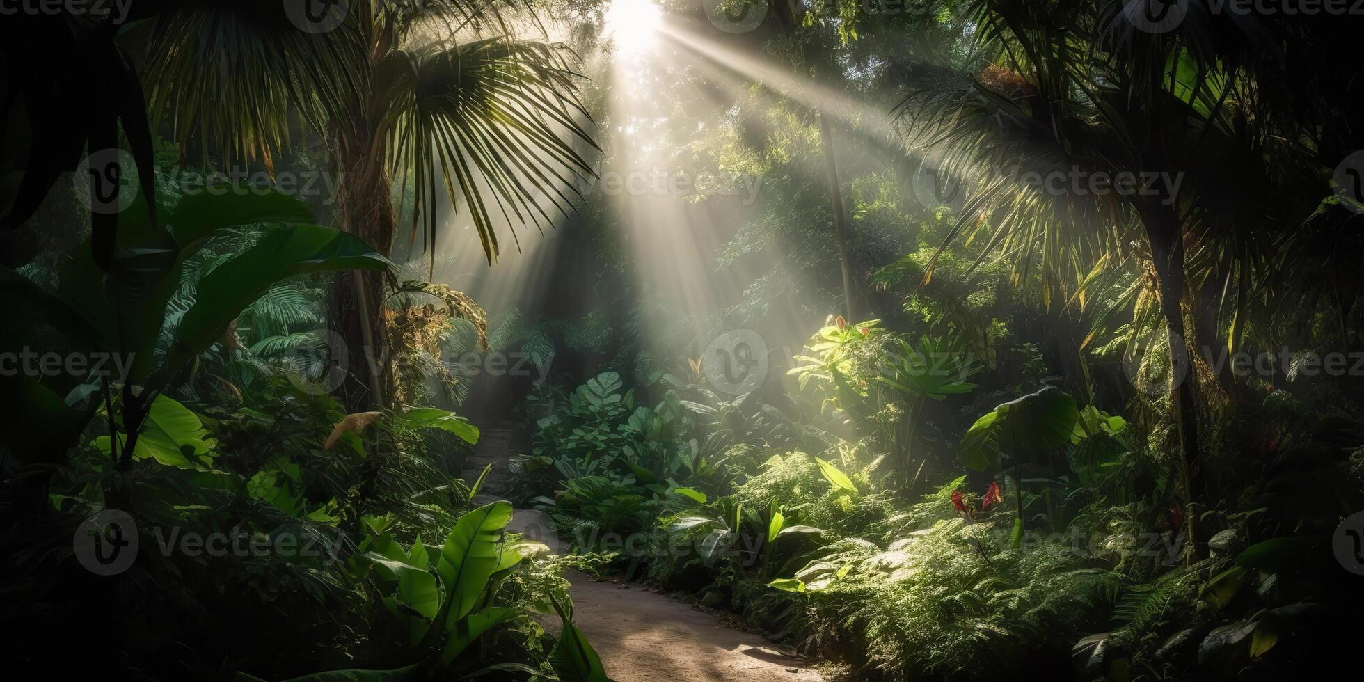 Tropical rain jungle deep forest with beab ray light shining. Nature outdoor adventure vibe scene background view photo