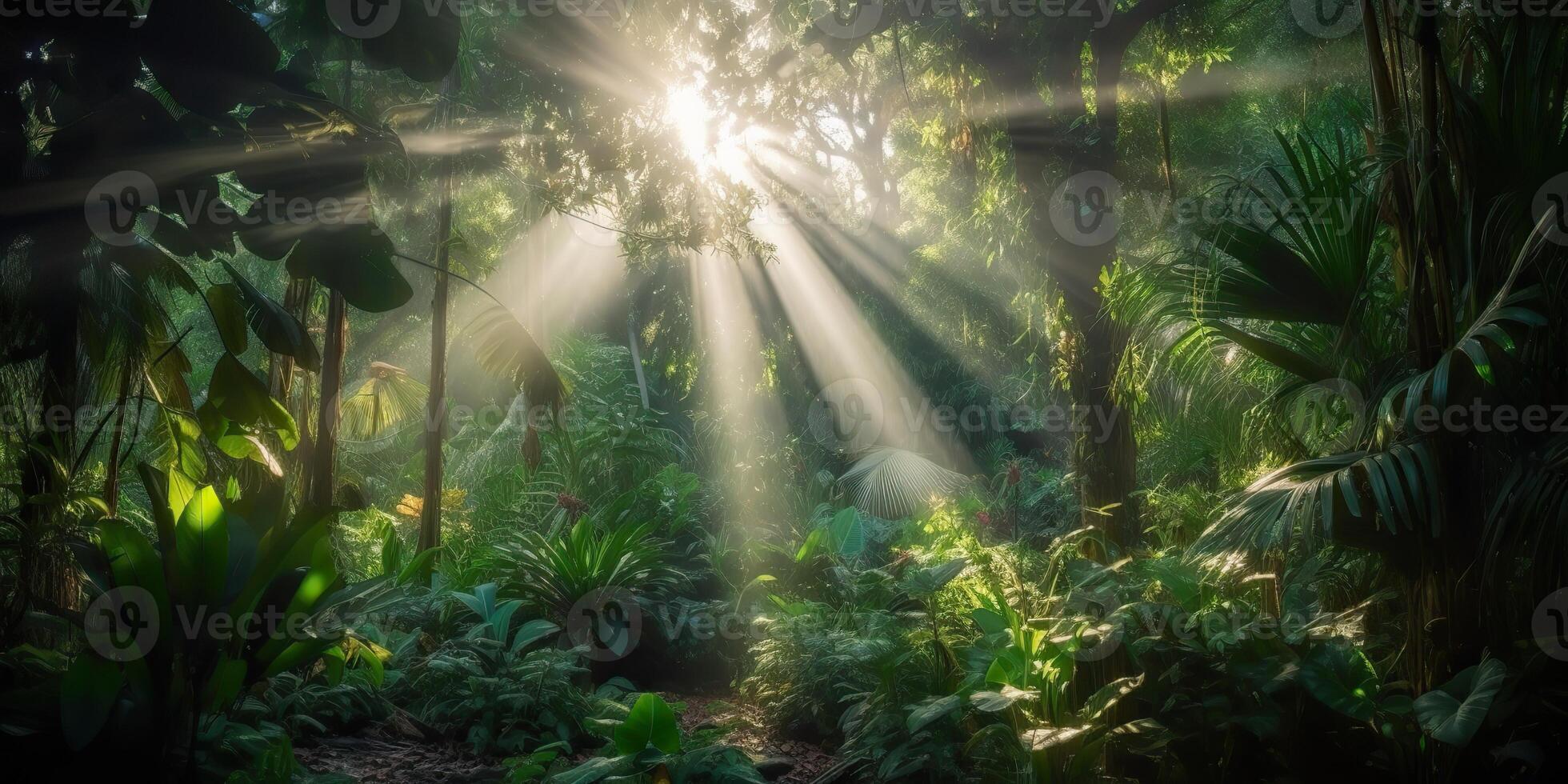 Tropical rain jungle deep forest with beab ray light shining. Nature outdoor adventure vibe scene background view photo