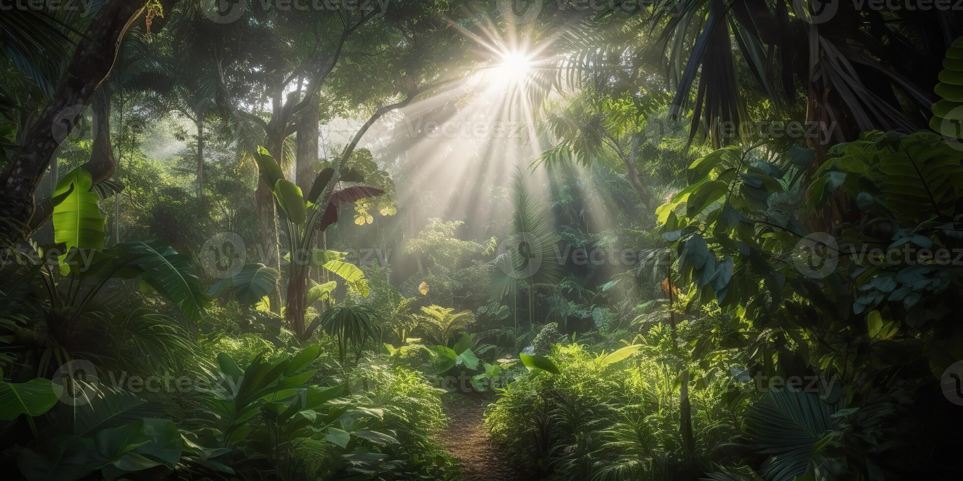 Tropical rain jungle deep forest with beab ray light shining. Nature outdoor adventure vibe scene background view photo