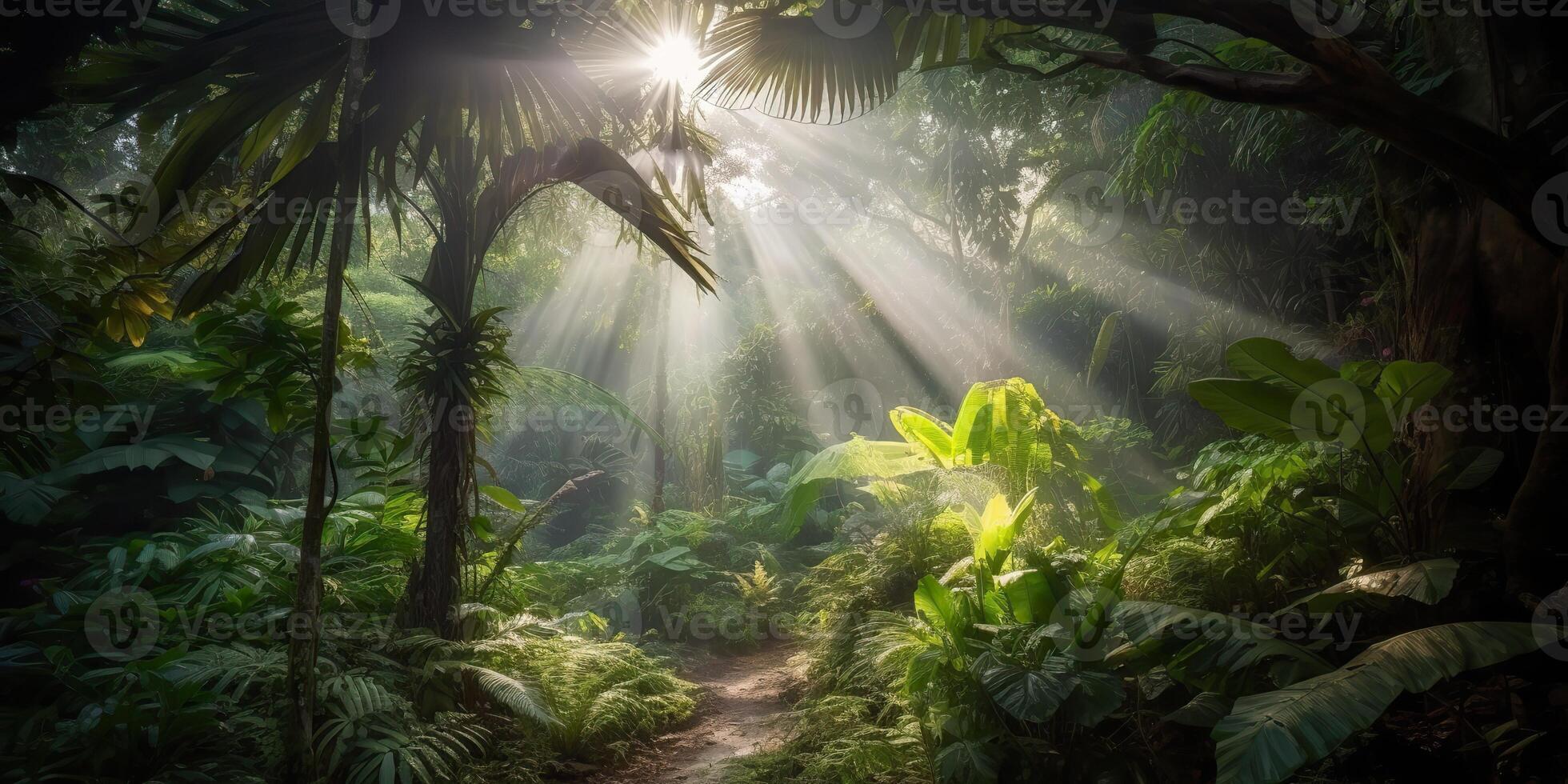 Tropical rain jungle deep forest with beab ray light shining. Nature outdoor adventure vibe scene background view photo