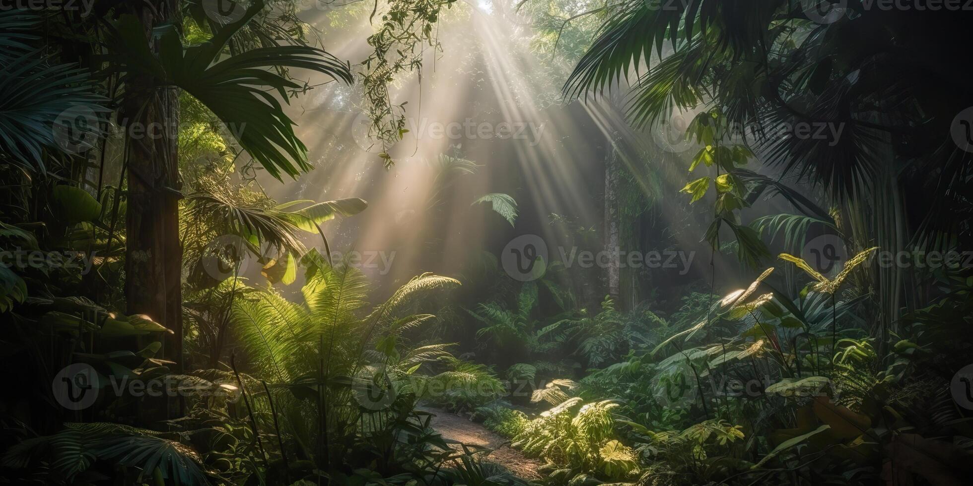 Tropical rain jungle deep forest with beab ray light shining. Nature outdoor adventure vibe scene background view photo