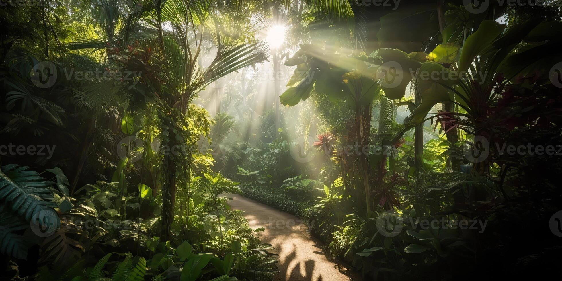 Tropical rain jungle deep forest with beab ray light shining. Nature outdoor adventure vibe scene background view photo